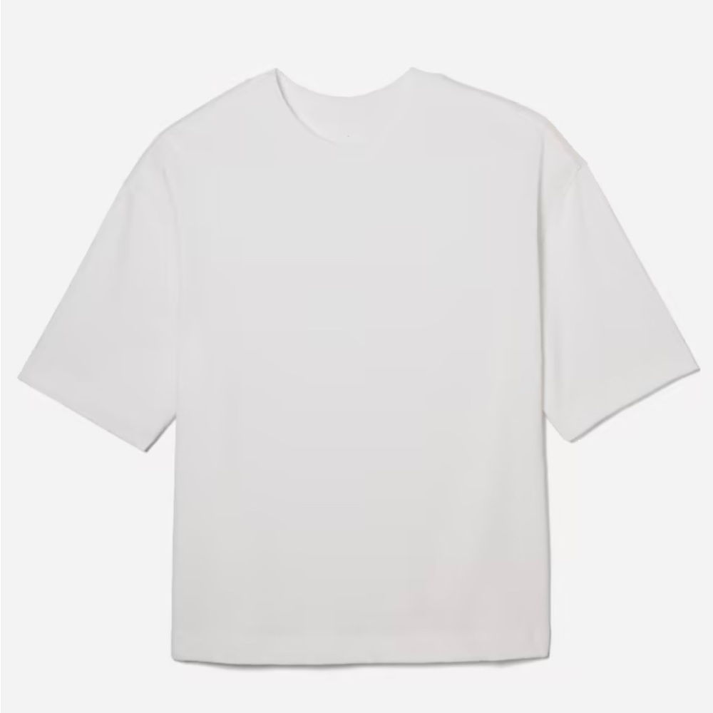 Everlane Premium Weight Relaxed Tee
